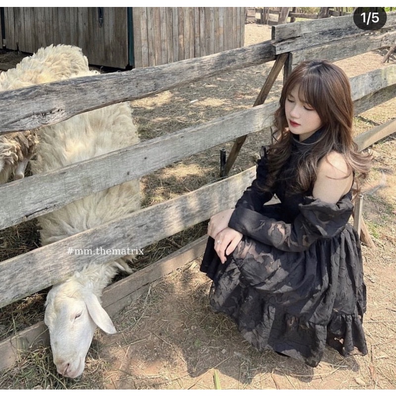 ĐẦM REN ĐEN YẾM CUT VAI TAY DÀI