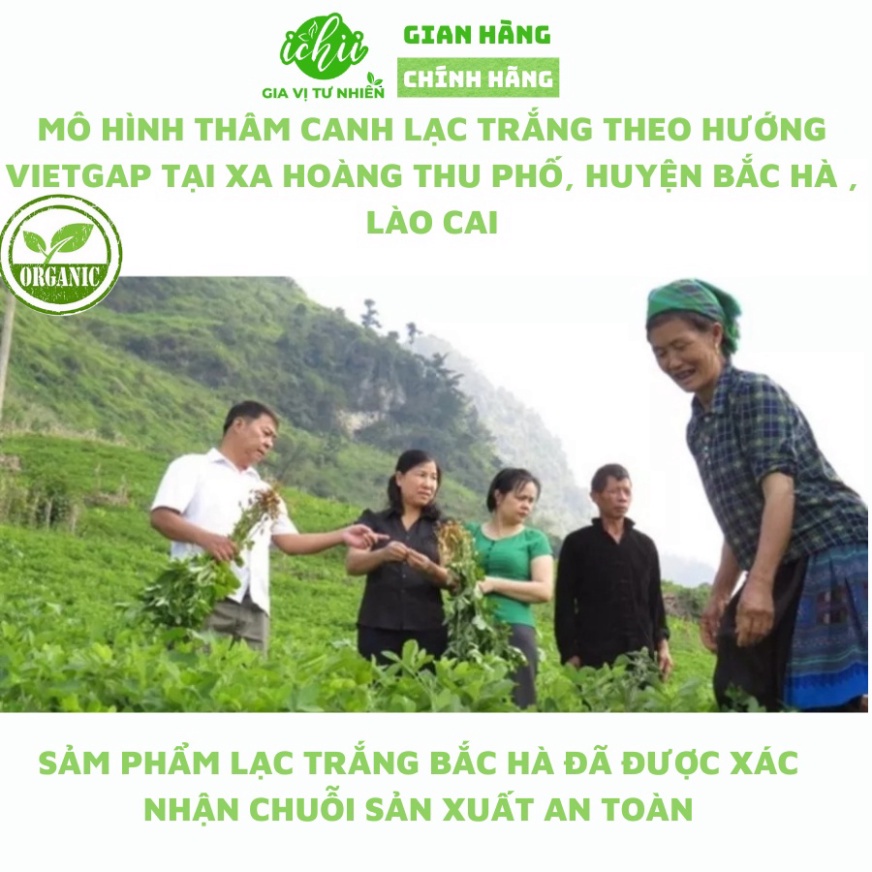 Lạc trắng hữu cơ ICHII , Lạc trắng organic HOÀNG THU PHỐ , Đậu phộng đạt tiêu chuẩn VIETGAP gói 500g
