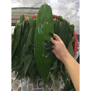 Lá tre tươi 100gram