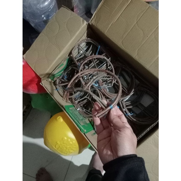 Cầu tử lồng bẫy chim chào mào