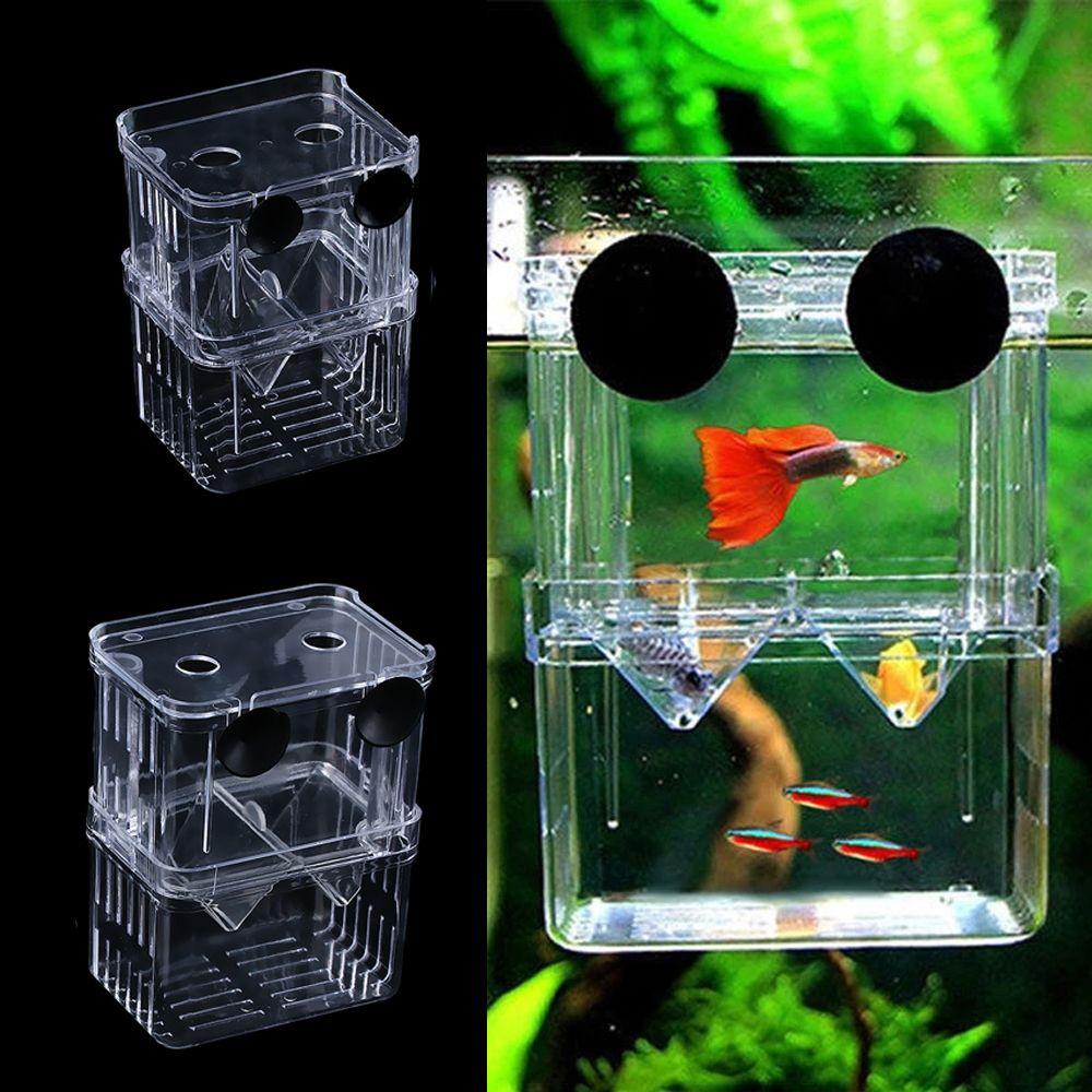 Hộp Nuôi Cá Bằng Acrylic Trong Suốt Chia Ngăn Tiện Dụng 1 #