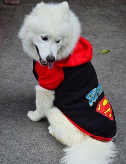 ÁO SUPERMAN