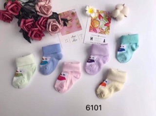 Tất sơ sinh 75k/1 lố 12 đôi