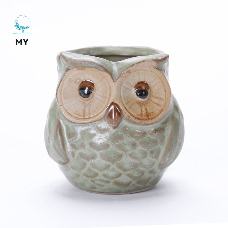 Bộ 5 chậu trồng hoa bằng gốm hình chim cú mèo dễ thương