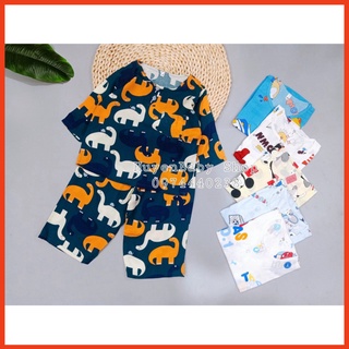 Combo 2 bộ quần áo vải tole, lanh 2 da tay dài cho bé trai