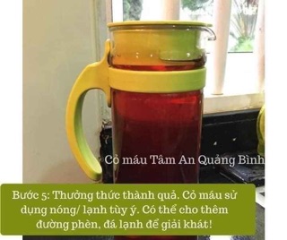 Cỏ máu Tâm An Quảng Bình
