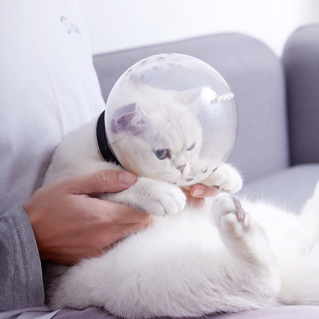 Mũ trùm chống cắn chống nhai gặm thoáng khí thiết kế điều chỉnh được dành cho mèo cưng