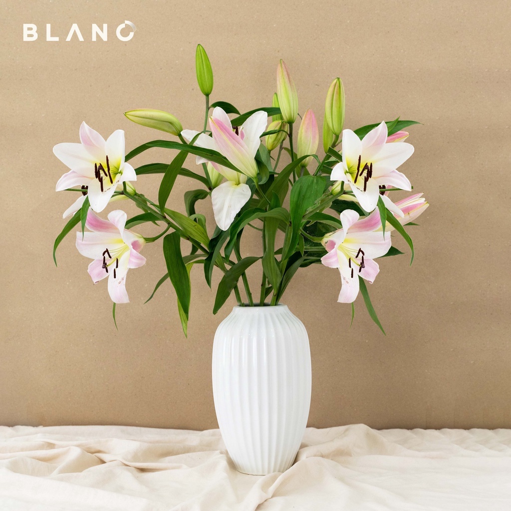 [Mã BMLTA50 giảm 50K đơn 150K] Bình Hoa Gốm Sứ Bát Tràng- Bình Cắm Hoa Juhi BLANC' Cao 30cm