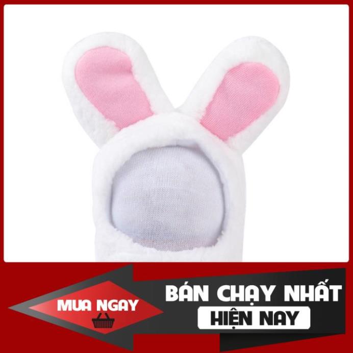 Mũ Đội Đầu Hình Thú Dễ Thương Cho Mèo #Tintin pet Store