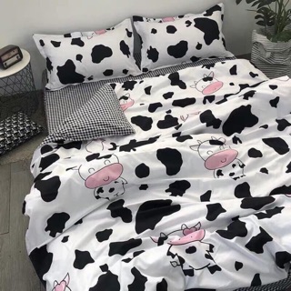 Set cotton poly bò sữa