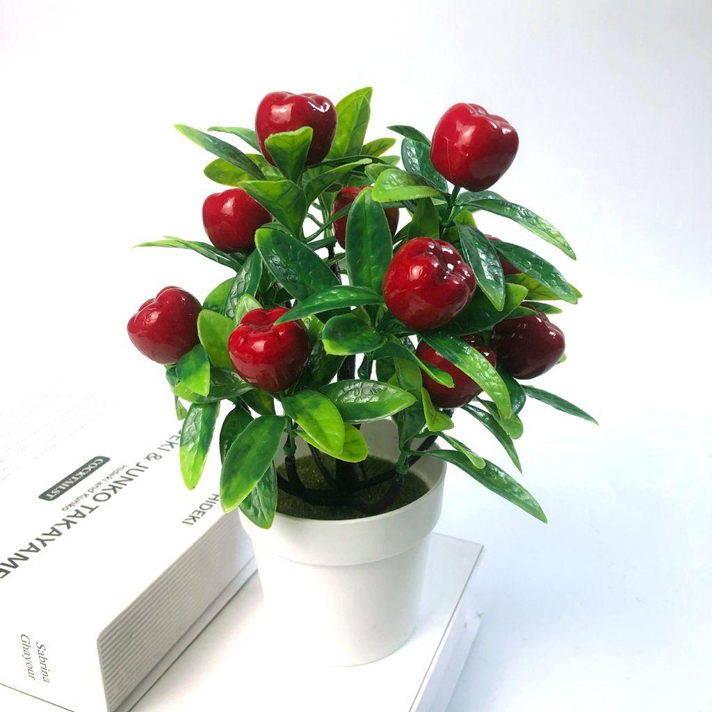 Lloyd Chậu Cây Cảnh Giả Mini Bằng Nhựa Màu Sắc Tươi Sáng Không Cần Tưới Nước Kèm Chậu Hoa Cà Chua Chanh