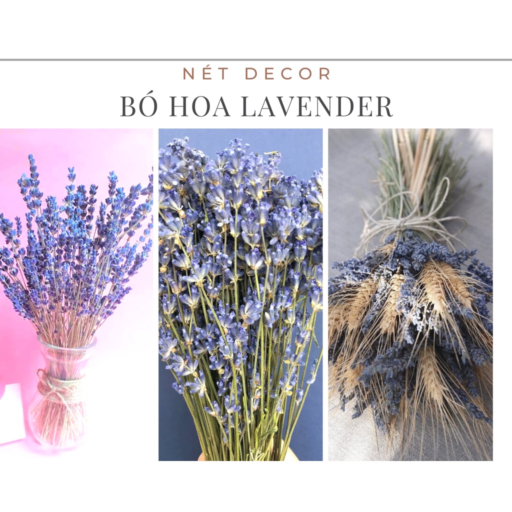🍁Hoa khô Oải Hương trang trí phòng🍁 Bó Hoa Lavender thơm decor phòng🍁