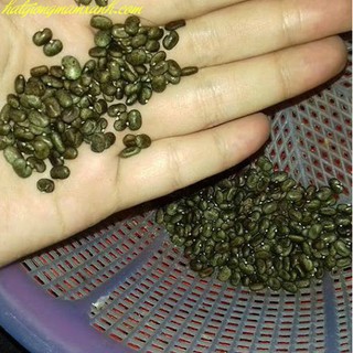 Hạt giống hoa đậu biếc nhiều cánh - 10 hạt