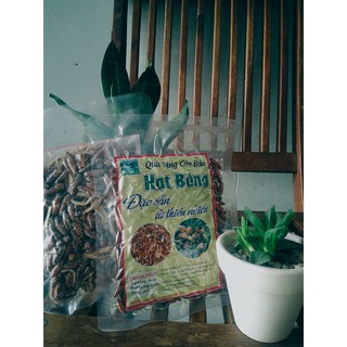 HẠT BÀNG CÔN ĐẢO NGUYÊN CHẤT ĐỦ VỊ