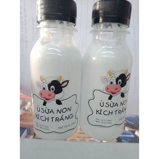 Ủ Sữa Non Kích Trắng Con Bò