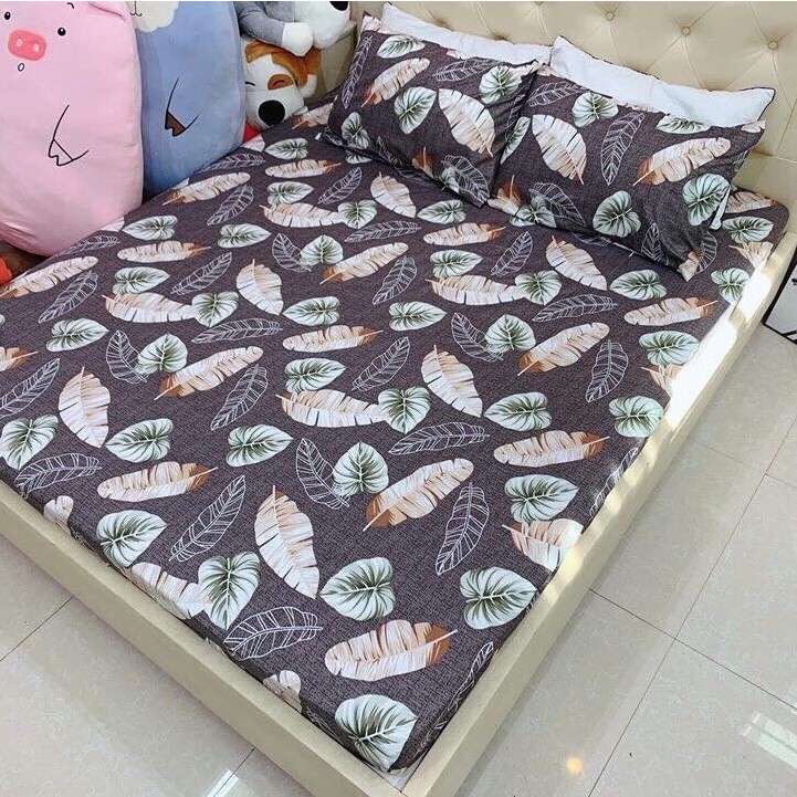 Bộ Ga kèm 2 Vỏ Gối Poly Cotton Nhiều Mẫu mới m6, m8 | BigBuy360 - bigbuy360.vn