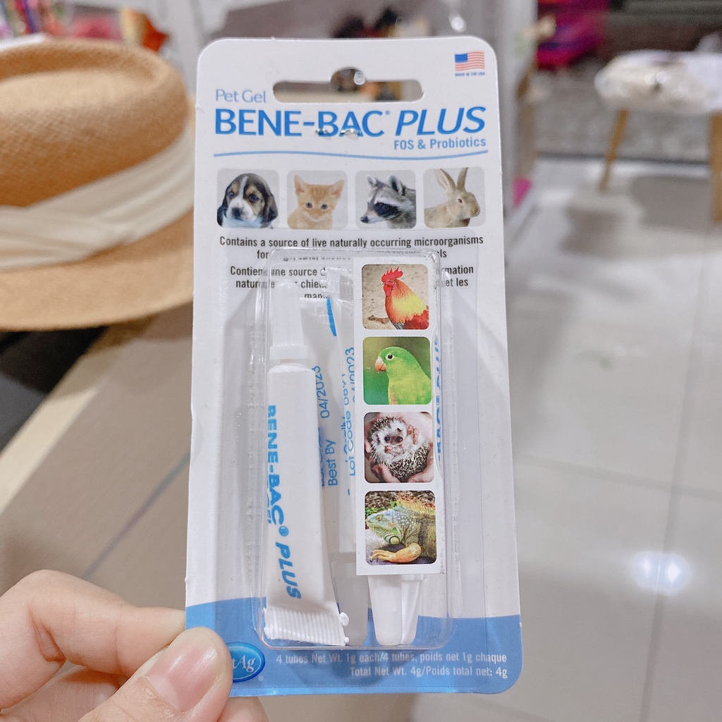 MEN TIÊU HOÁ BENE BAC CHO CHÓ MÈO