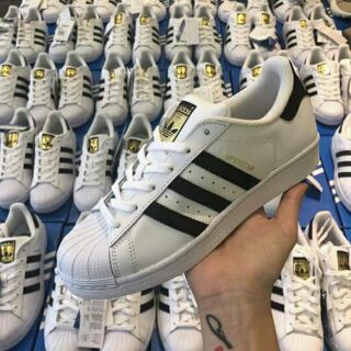 Adidas superstar mũi sò