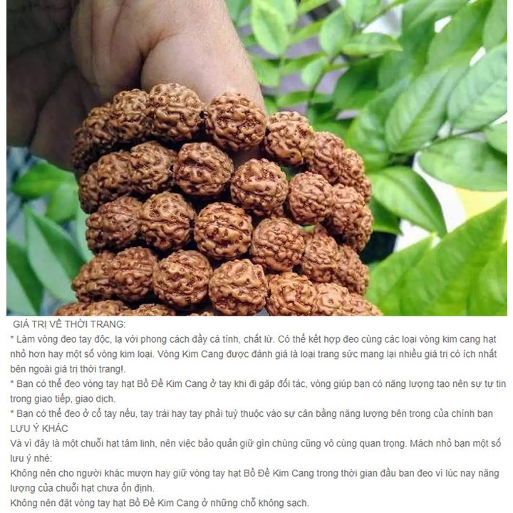 Vòng tay hạt chuỗi kim cang bồ đề 17ly, 10ly