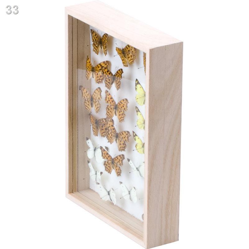 Khung ảnh mẫu bướm ba chiều bằng gỗ rắn ấn tượng, hoa bất tử, hộp đựng côn trùng, trưng bày thủ công mỹ nghệ