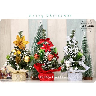 Cây thông Noel mini để bàn trang trí Giáng sinh NE-2015 - 20cm - 3 Mẫu