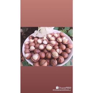Hạt điều rang muối có vỏ