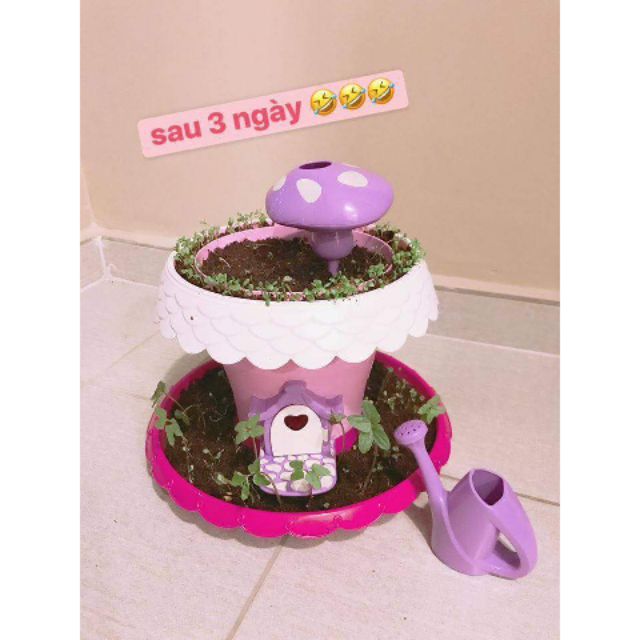 Bộ trồng cây ma thuật cho bé