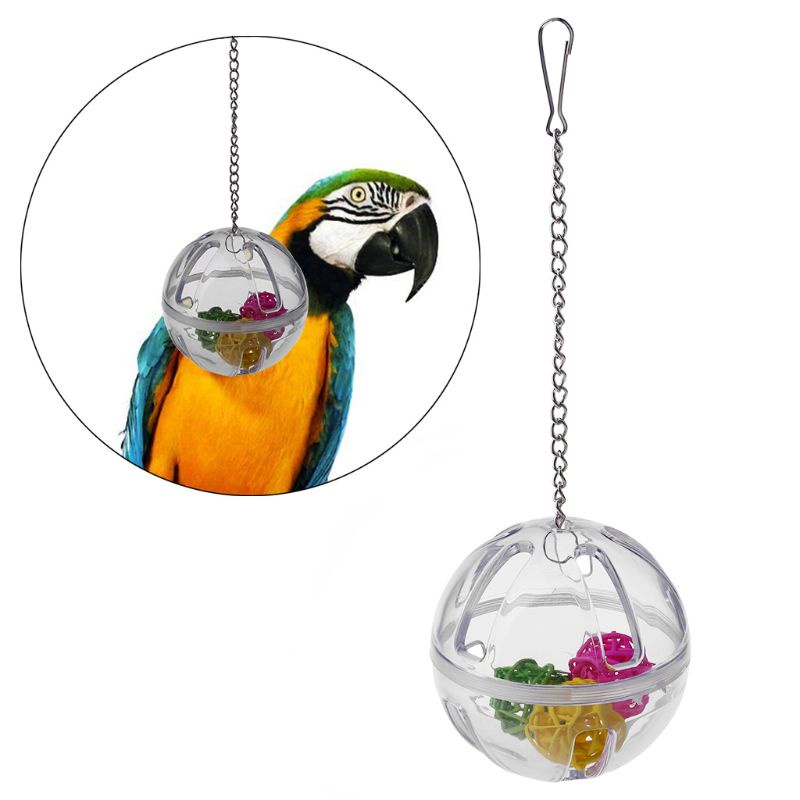 Nhà Banh Trong Suốt Bằng Acrylic Treo Lồng Chim Vẹt
