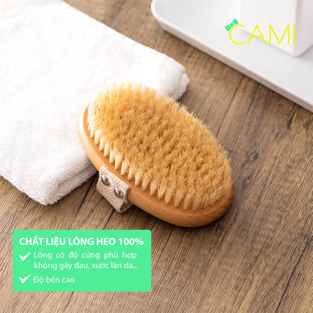 Bàn Chải Lông heo rừng tự nhiên, cán gỗ sồi chắc chắn, dùng khi tắm hoặc dùng cho thú cưng - Cami - CMPK240