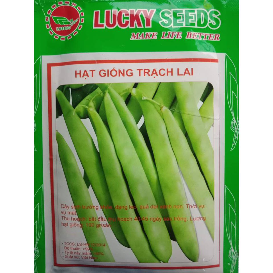 Cung Cấp Hạt giống đậu trạch lai LUCKY SEEDS -50gr hạt đẹp