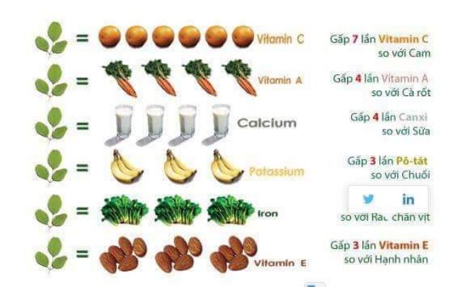 Bột chùm ngây sấy lạnh moris- munmac bimbim