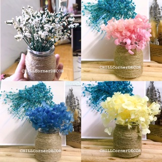 Bình hoa cẩm tú cầu khô mini xinh xắn