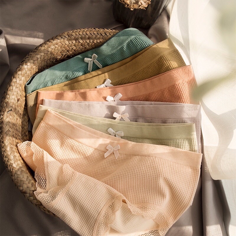 COMBO 10 QUẦN COTTON ĐÍNH NƠ 3312