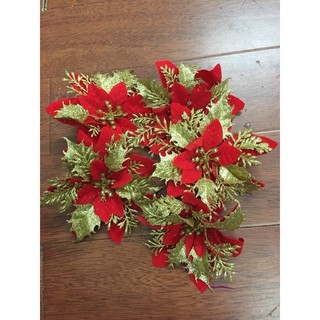 Hoa trạng nguyên trang trí oẳn, hoa noel