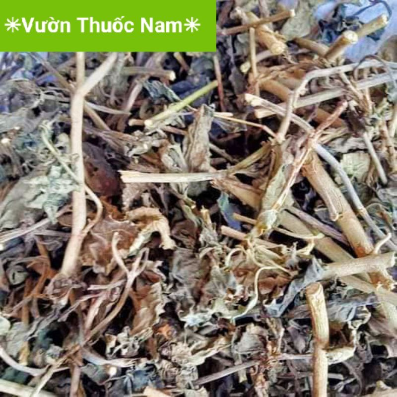 Cây cỏ đuôi chuột phơi khô cây đuôi chuột mạch lạc phơi khô