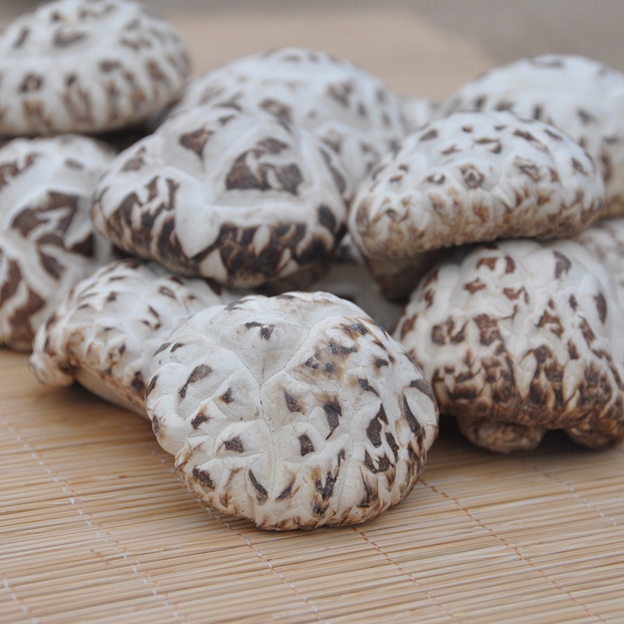 Nấm đông cô Nhật  200g-1kg