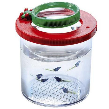 Hộp đựng quan sát côn trùng