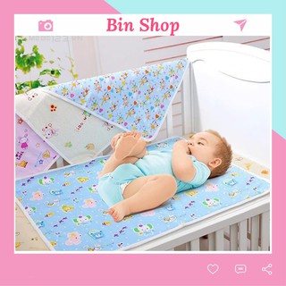 Chiếu Đái Đài Loan Cho Bé (Chống Thấm) Bin Shop
