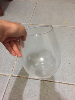 Cây phát lộc