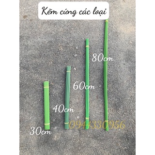 kẽm cắm hoa loại cứng đủ size