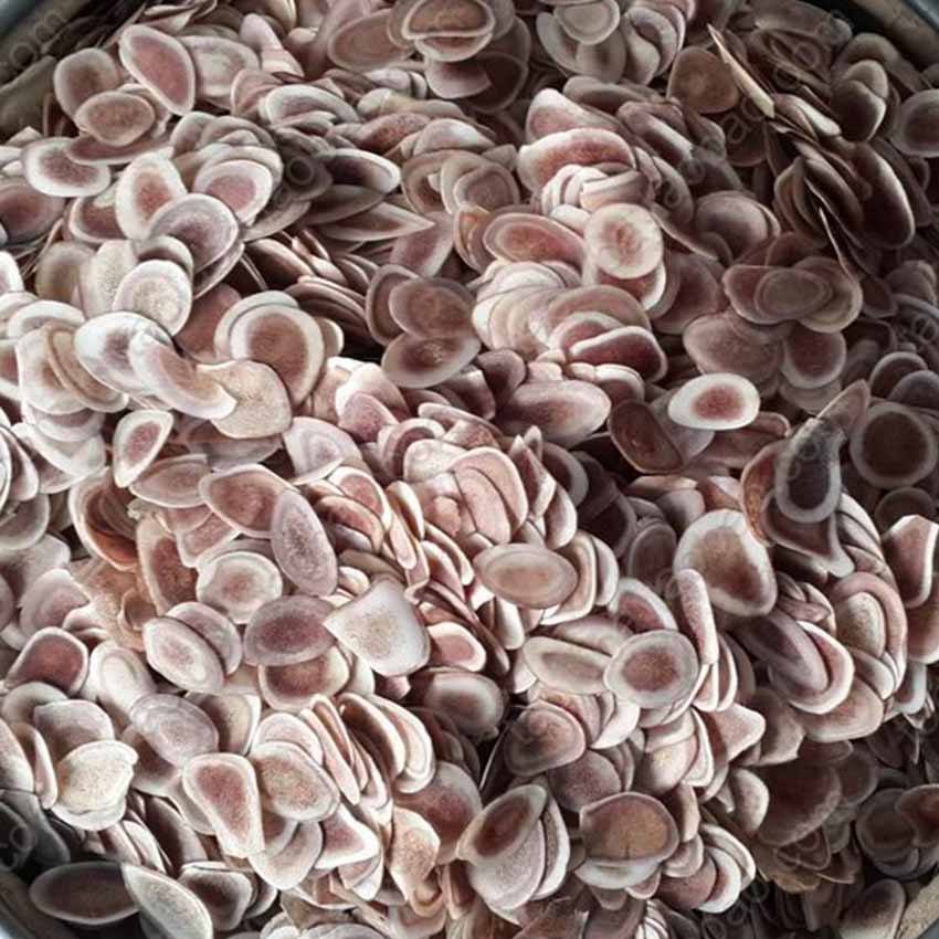 Lộc Nhung khô nguyên chất hàng chuẩn 100 gram.