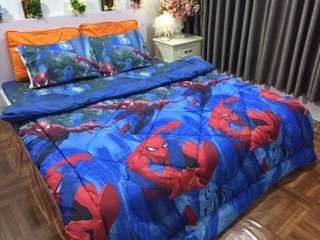 Bộ chăn phao ga chun poly