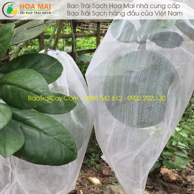 100 Túi bao trái Bưởi 30x35 lưới mùng - hàng chính hãng Hoa Mai