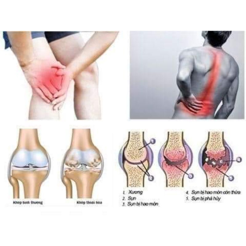 Viên uống xương khớp Glucosamine Orihiro Nhật Bản Chính Hãng - Hộp 900 viên