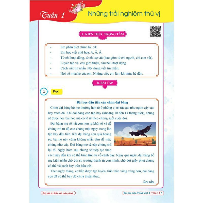 Sách - Combo Bài Tập Tuần Toán Và Tiếng Việt Lớp 3 - Kết Nối Tri Thức Với Cuộc Sống - Học Kì 1