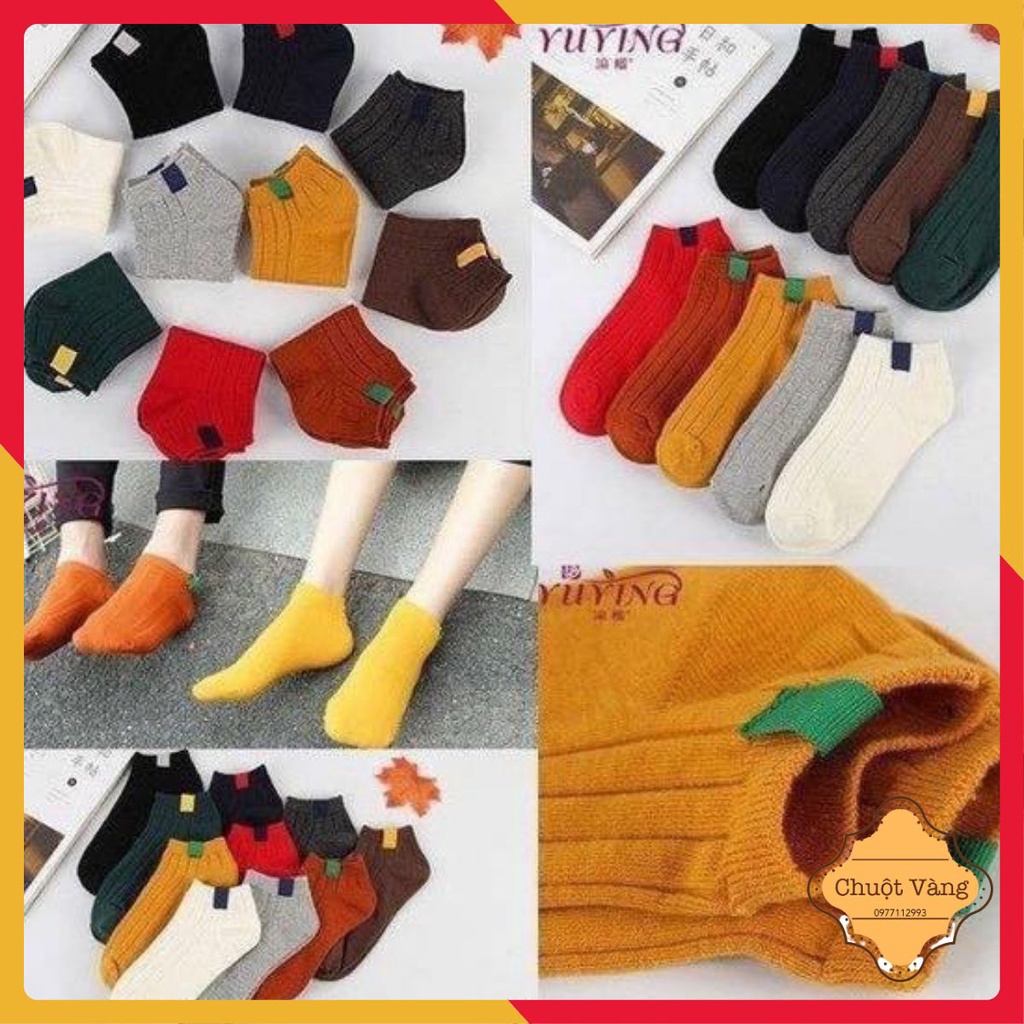 10 Tất len 7 màu cổ ngắn