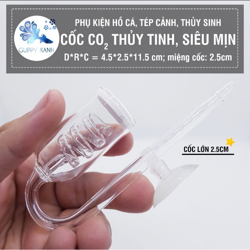 Cốc Sủi CO2 Thuỷ Tinh Siêu Mịn - Cốc Sủi Nano