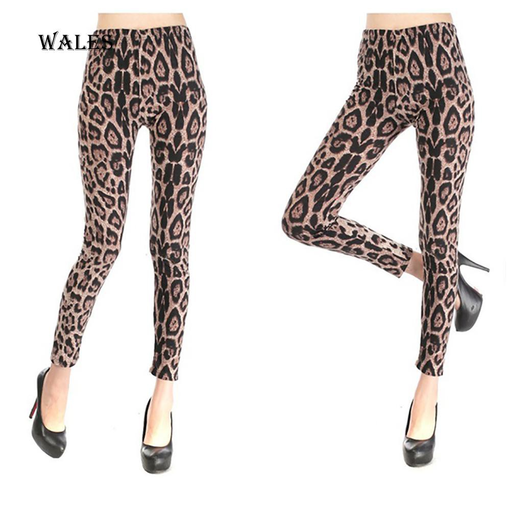 Quần Legging Họa Tiết Da Báo Thời Trang Quyến Rũ Cho Nữ | BigBuy360 - bigbuy360.vn