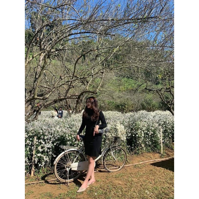 Váy Ôm Xẻ Tà Bigsize | BigBuy360 - bigbuy360.vn