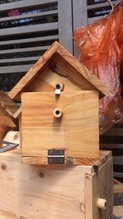 Tổ đẻ Love bird, Yến phụng, Cook